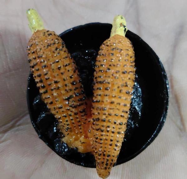 Food magnets polyresin material Very good quality