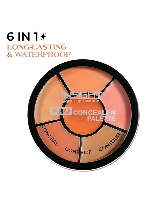 INSIGHT Concealer - 6 in 1