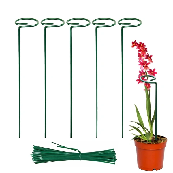 Premium Plant Support Stakes, Sturdy Metal Construction for Strong Set of 2