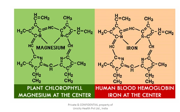 UNICITY SUPER CHLOROPHYLL PLUS PACK 10