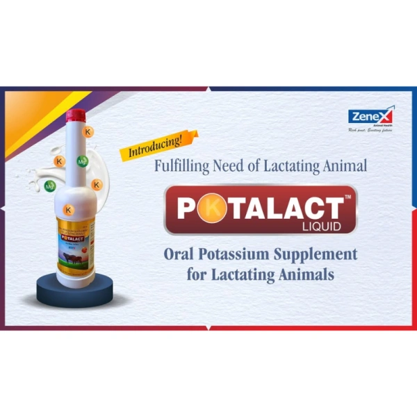 ZENEX POTALACT 500ML