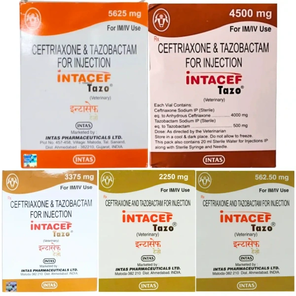 INTAS Intacef Tazo – Advanced Dual-Action Ceftriaxone & Tazobactam - 4500MG, Red