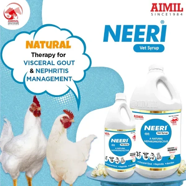 AIMIL Neeri Vet Syrup - 200ML