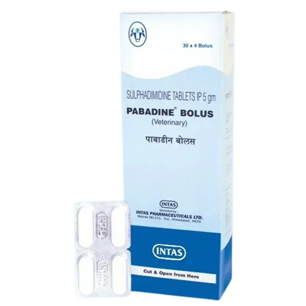 INTAS PABADINE BOLUS(1X4)