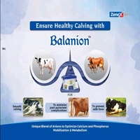 zinex Balanion POWDER