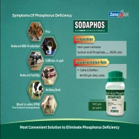 ZENEX SODAPHOS POWDER 500GM