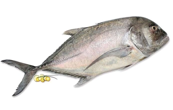 Kukari