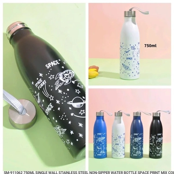  SINGLE WALL STAINLESS STEEL 750ML