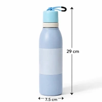 Double Wall Vaccum Water Bottles - blue