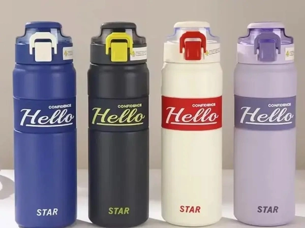 Terraporta Stainless Travel Bottle