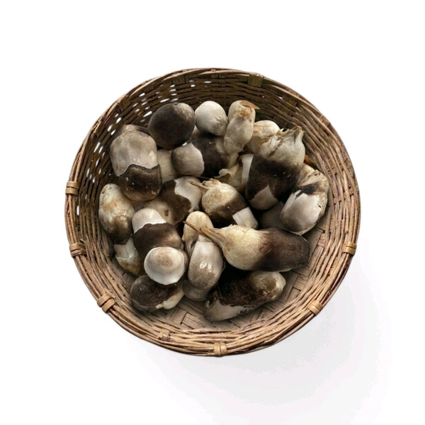 Pala Chhatu – Fresh & Nutritious Odisha Mushroom
