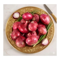Onion đ§
good quality