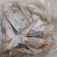 Vakti (वाकटी)