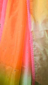 APARAJITA Organza Party Wear Saree