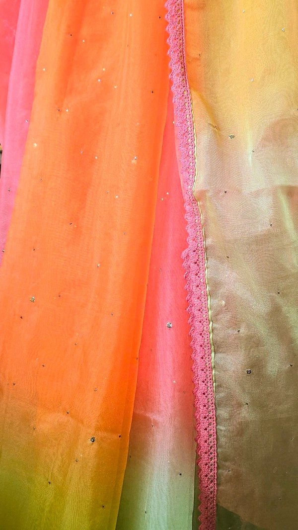 APARAJITA Organza Party Wear Saree