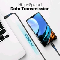 Ambrane 100W C to C Cable