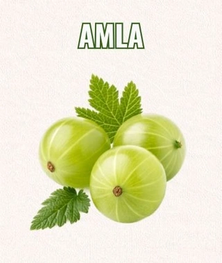 Amla