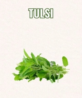 Tulsi