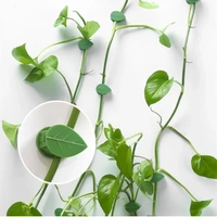 10 Pcs Leaf Shape Climbing Plant, Wall Vine Climbing Plant Support Hook Self-Adhesive Vines Traction Clips Leaf Shape Plant Fixer, Wire Fixing Cable Organizer with Adhesive Sticker