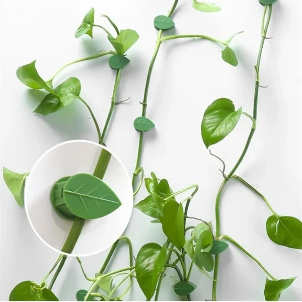 10 Pcs Leaf Shape Climbing Plant, Wall Vine Climbing Plant Support Hook Self-Adhesive Vines Traction Clips Leaf Shape Plant Fixer, Wire Fixing Cable Organizer with Adhesive Sticker