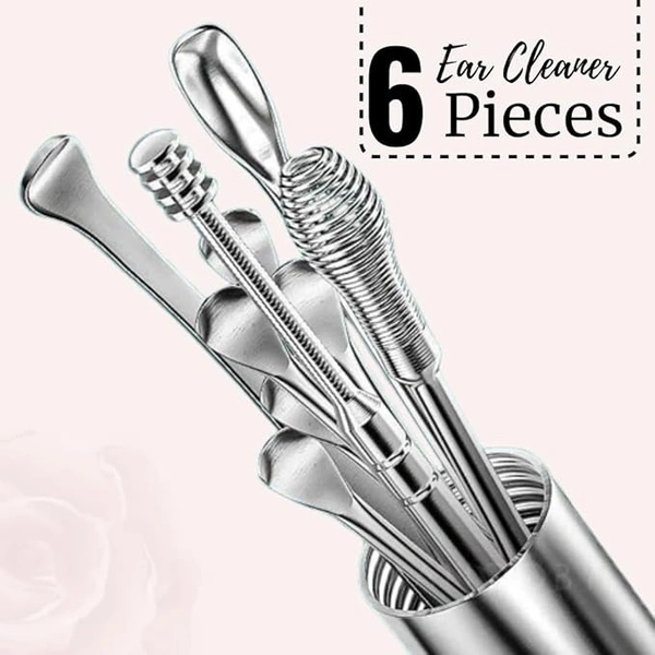 6 Pcs Ear Pick with a Storage Box Earwax Removal Kit | Ear Cleansing Tool Set | Stainless Steel Ear Curette Ear Wax Remover Tool