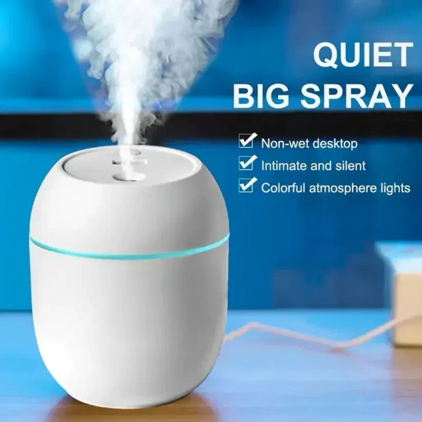 PORTABLE LIGHTING MINI HUMIDIFIER (250 ML)