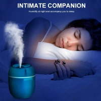 PORTABLE LIGHTING MINI HUMIDIFIER (250 ML)