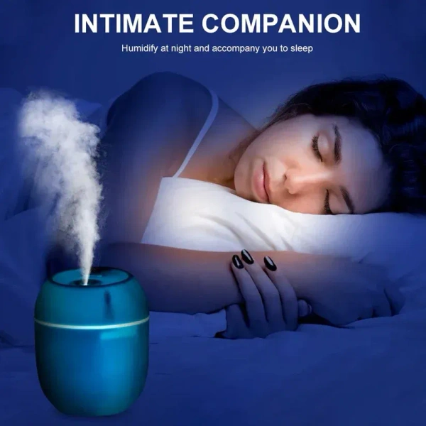 PORTABLE LIGHTING MINI HUMIDIFIER (250 ML)