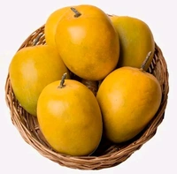 Alphonso Mangoes