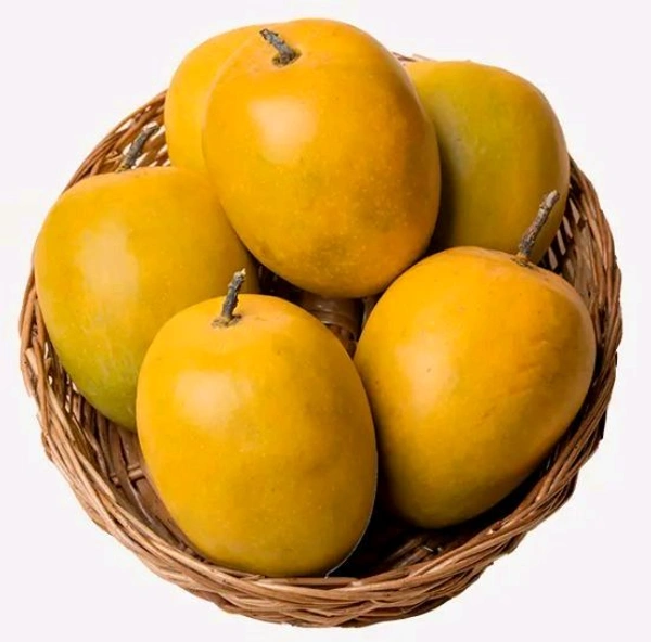 Alphonso Mangoes