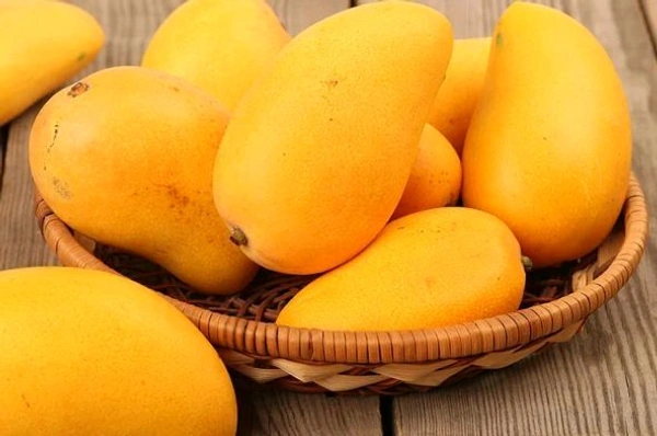 Kesar Mangoes
