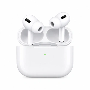 Earbuds