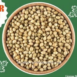 Premium Khada Dhana 200 gm