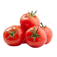 Tomato Tamatar ( 0.95kg-1kg )
