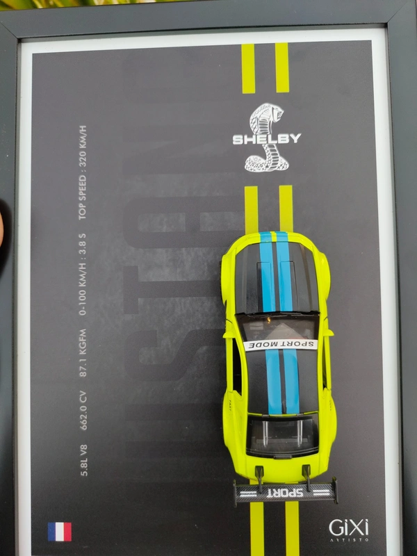 Mustang GT Die-Cast Frame | Premium Display