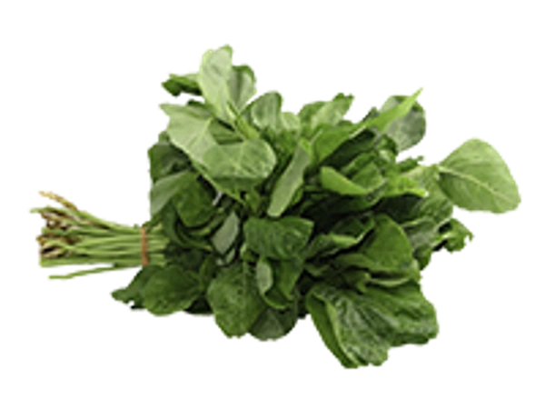 Amarathus Green