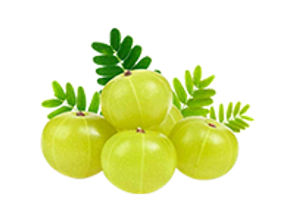 Amla Wellness Dip