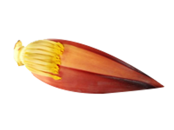Banana Flower