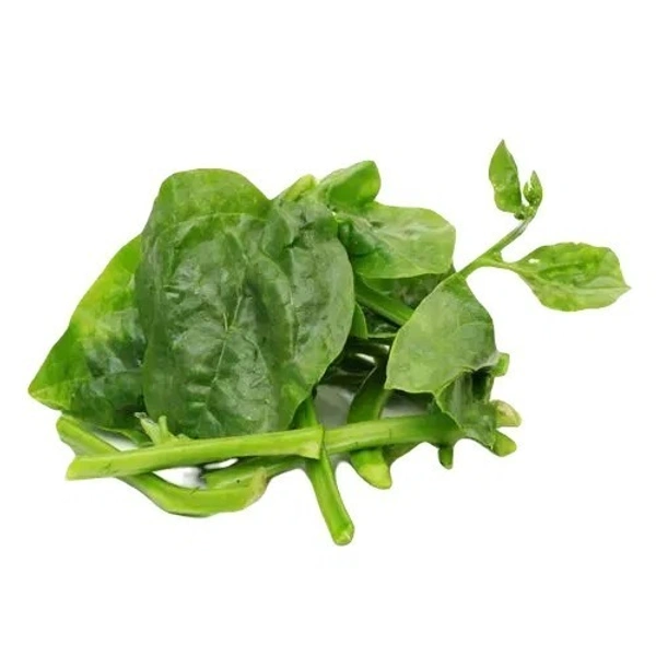 Basle Leaf