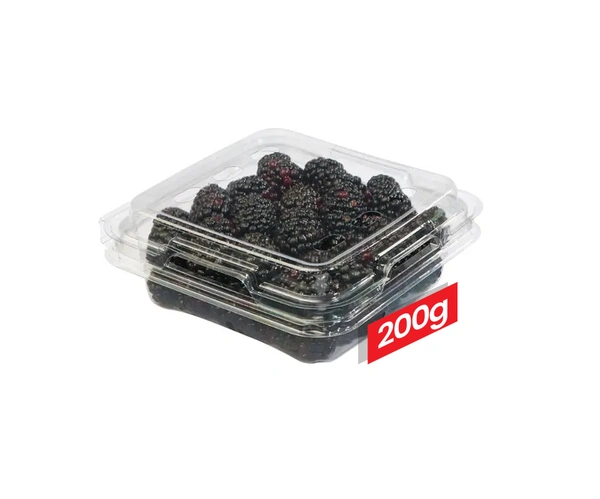 Blackberry Imported