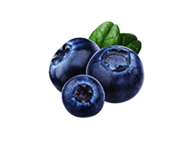 Blueberry Imported