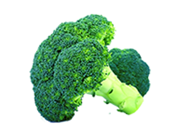 Broccoli
