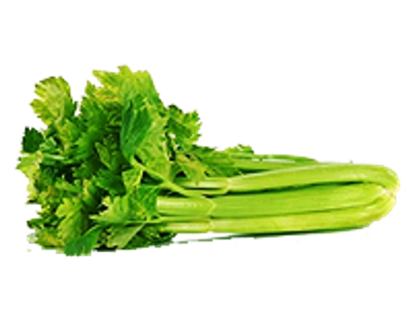 Celery Greens
