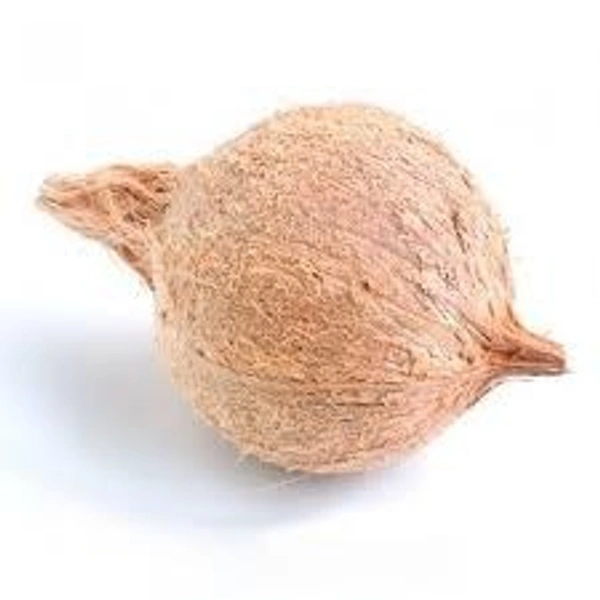 Coconut 