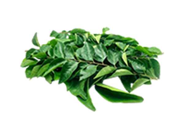 Curry Leaf