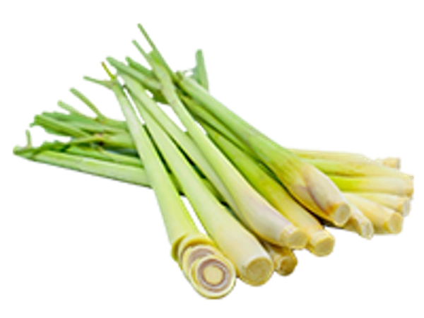 Lemon Grass