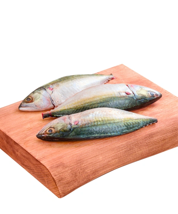 Mackerel Fish / Ayila Meen