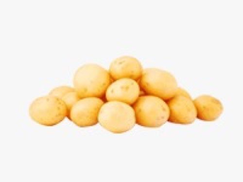 Potato
