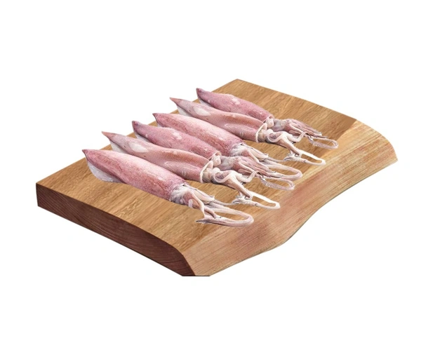 Squid Fish