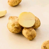 Jyoti Potato (Alu/Aloo) 1kg